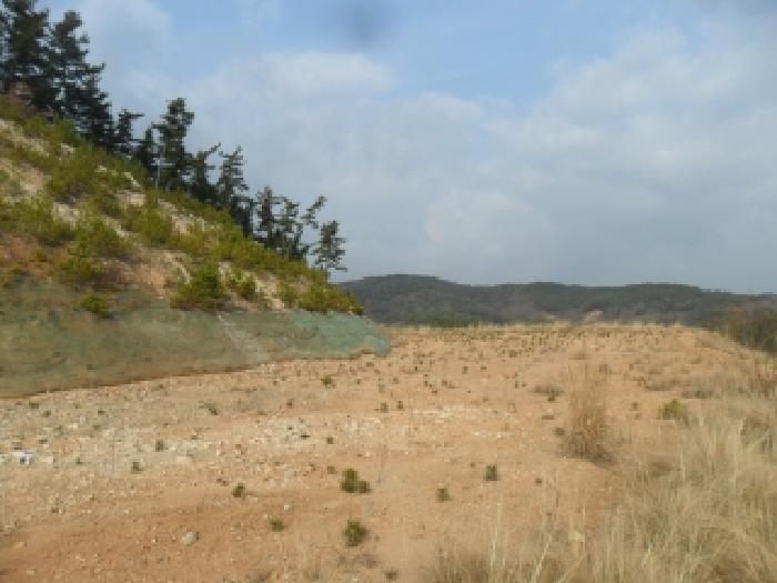 충남 태안군 원북면 임야 경매 물건 사진 3 · 2025타경51988