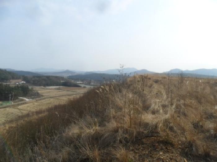 충남 태안군 원북면 임야 경매 물건 사진 4 · 2025타경51988