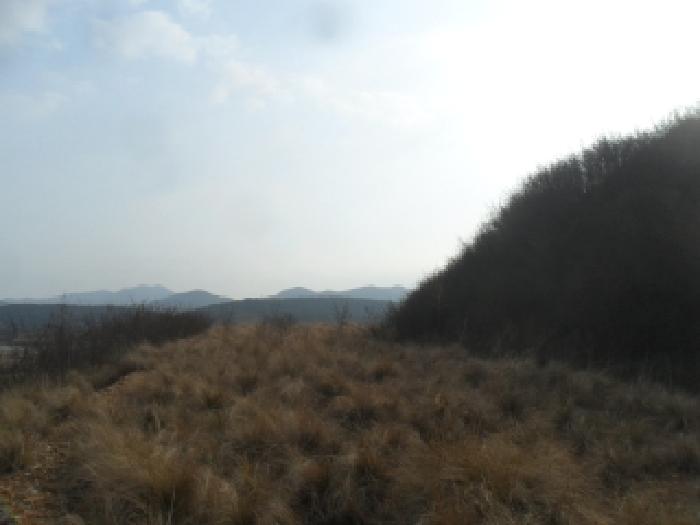 충남 태안군 원북면 임야 경매 물건 사진 5 · 2025타경51988