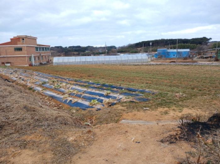 충남 당진시 석문면 전답 경매 물건 사진 4 · 2025타경51995