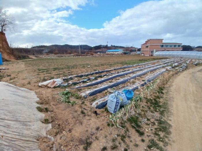 충남 당진시 석문면 전답 경매 물건 사진 2 · 2025타경51995