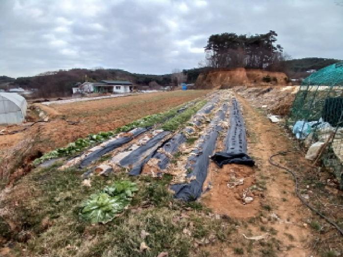 충남 당진시 석문면 전답 경매 물건 사진 3 · 2025타경51995