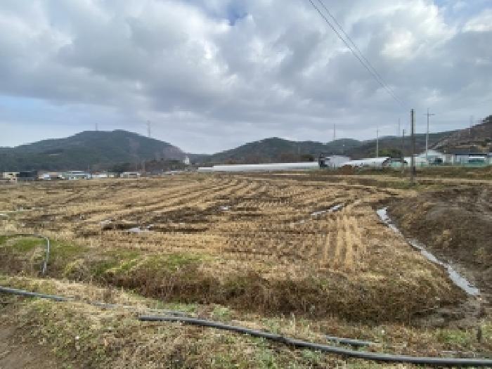 충남 당진시 구룡동 전답 경매 물건 사진 2 · 2025타경52007
