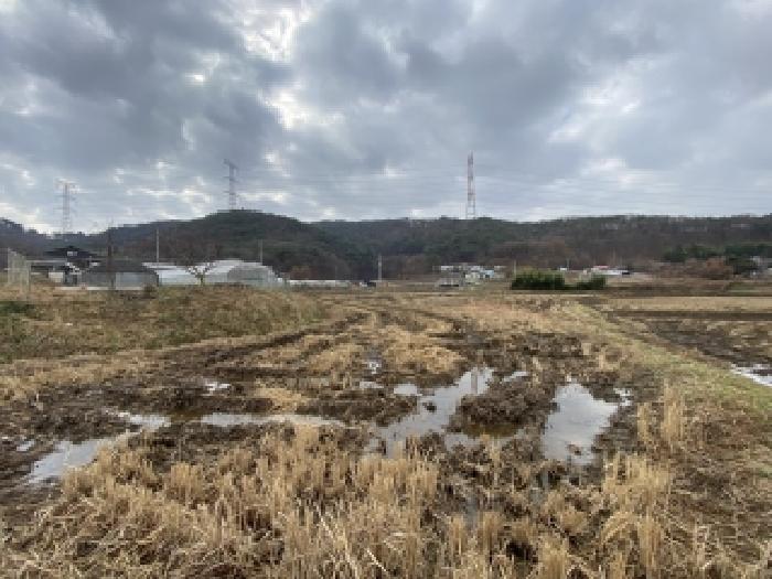 충남 당진시 구룡동 전답 경매 물건 사진 3 · 2025타경52007