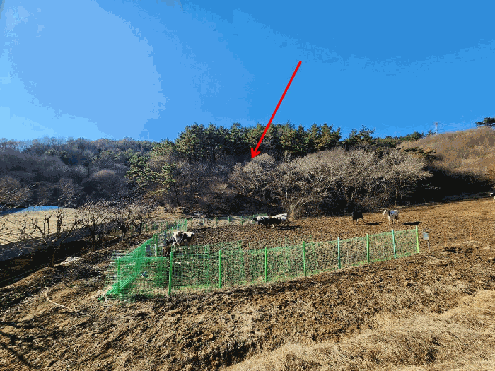 충남 서산시 성연면 임야 경매 물건 사진 5 · 2025타경52020