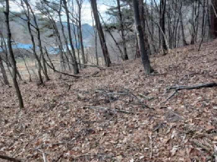 충남 서산시 성연면 임야 경매 물건 사진