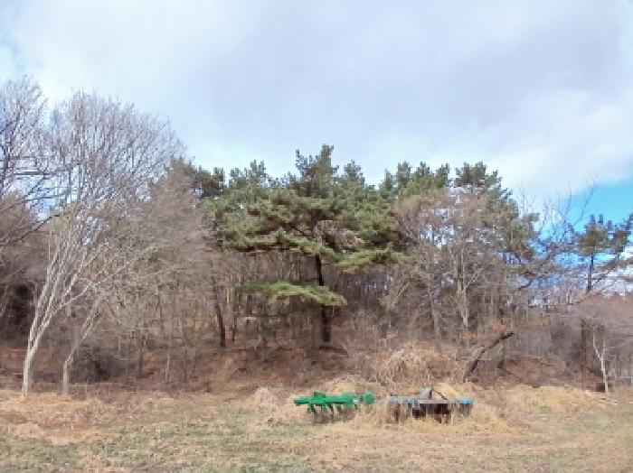 충남 서산시 성연면 임야 경매 물건 사진 2 · 2025타경52020
