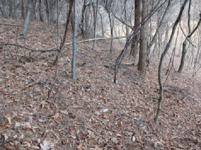충남 서산시 성연면 임야 경매 물건 사진 3 · 2025타경52020
