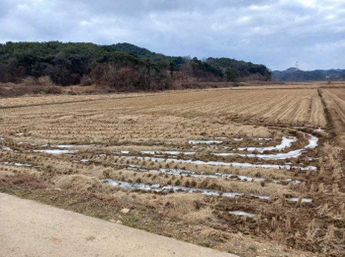 충남 당진시 석문면 대지,임야,전답 경매 물건 사진 2 · 2025타경52055