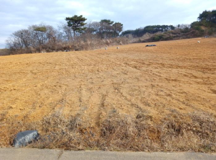 충남 당진시 석문면 대지,임야,전답 경매 물건 사진 4 · 2025타경52055