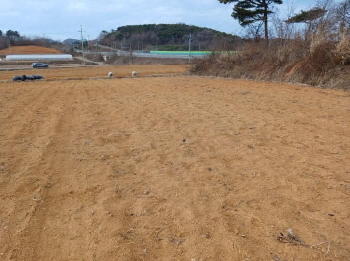 충남 당진시 석문면 대지,임야,전답 경매 물건 사진 5 · 2025타경52055