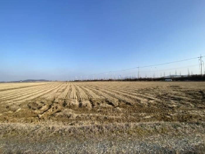 충남 태안군 남면 전답 경매 물건 사진