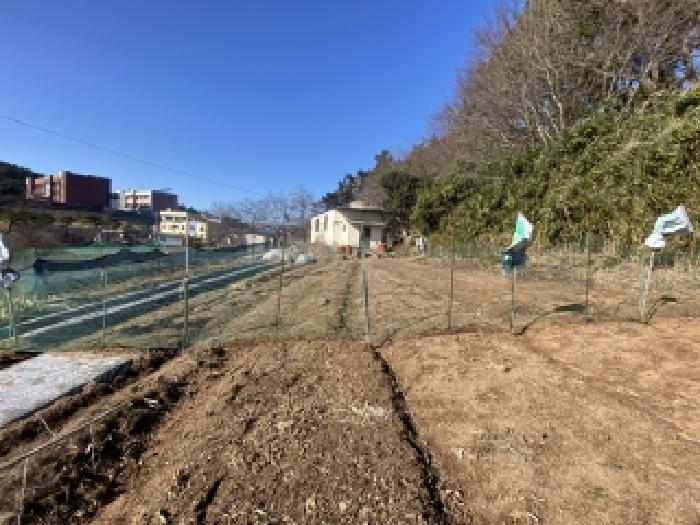 충남 태안군 태안읍 전답 경매 물건 사진 5 · 2025타경52068