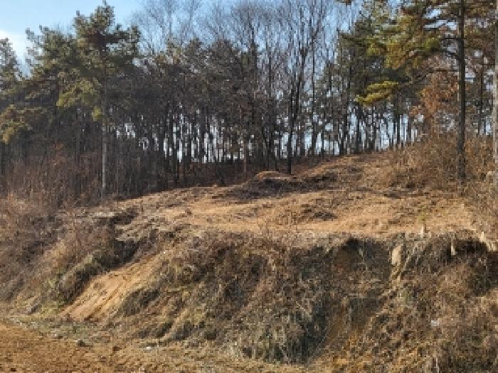 충남 당진시 합덕읍 임야 경매 물건 사진 2 · 2025타경52070