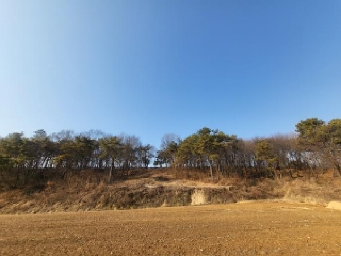충남 당진시 합덕읍 임야 경매 물건 사진 3 · 2025타경52070