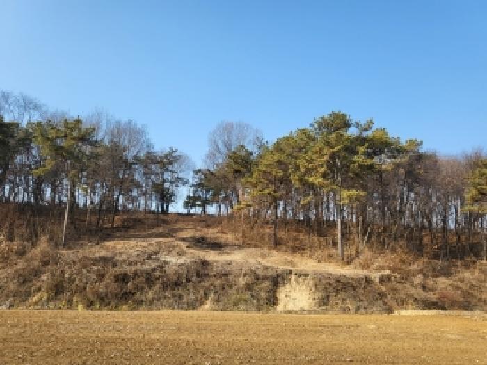 충남 당진시 합덕읍 임야 경매 물건 사진 4 · 2025타경52070
