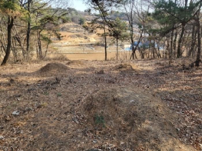 충남 당진시 합덕읍 임야 경매 물건 사진 5 · 2025타경52070
