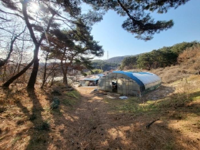 충남 당진시 면천면 대지,임야,전답 경매 물건 사진 2 · 2025타경52073