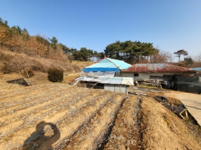 충남 당진시 면천면 대지,임야,전답 경매 물건 사진 4 · 2025타경52073