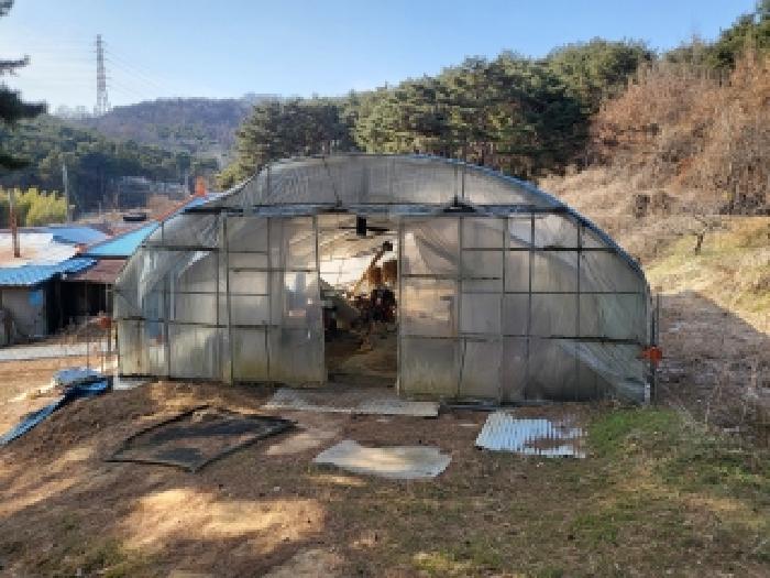 충남 당진시 면천면 대지,임야,전답 경매 물건 사진 6 · 2025타경52073