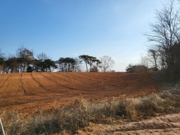 충남 당진시 신평면 임야 경매 물건 사진
