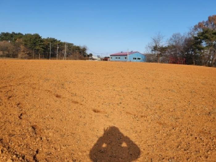 충남 당진시 신평면 임야 경매 물건 사진 2 · 2025타경52085