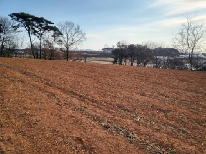 충남 당진시 신평면 임야 경매 물건 사진 3 · 2025타경52085