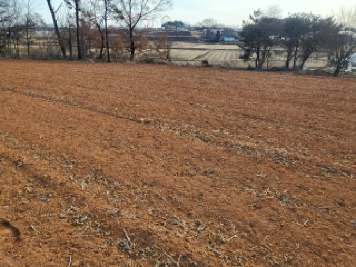 충남 당진시 신평면 임야 경매 물건 사진 4 · 2025타경52085
