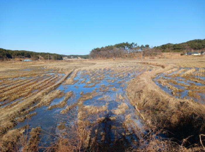 충남 서산시 대산읍 답 경매 물건 사진
