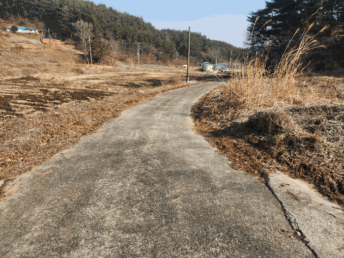 충청남도 태안군 이원면 포지리 425-2 임야 경매 물건 사진