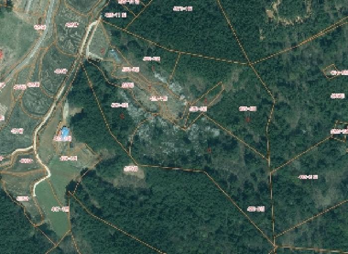충남 태안군 이원면 임야 경매 물건 사진