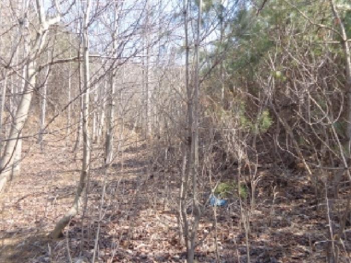 충남 태안군 이원면 임야 경매 물건 사진 2 · 2025타경527