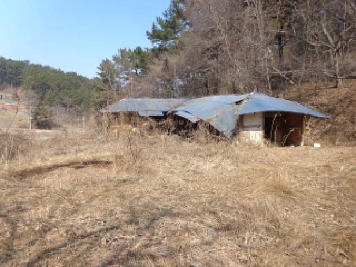 충남 태안군 이원면 임야 경매 물건 사진 3 · 2025타경527
