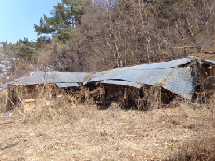 충남 태안군 이원면 임야 경매 물건 사진 4 · 2025타경527