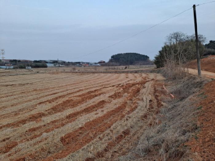 충남 당진시 송악읍 전답 경매 물건 사진 5 · 2025타경542