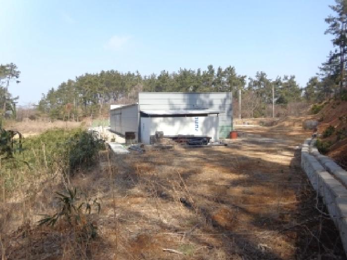충남 태안군 이원면 동물및식물관련시설 경매 물건 사진 5 · 2025타경545