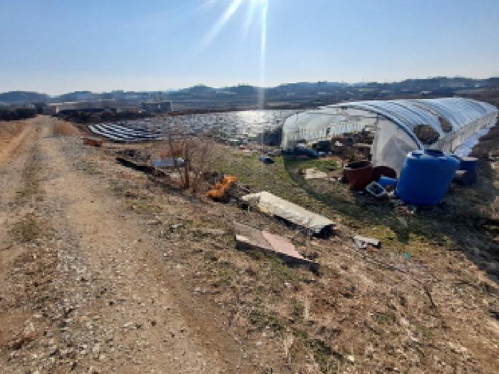 충남 당진시 송악읍 전 경매 물건 사진