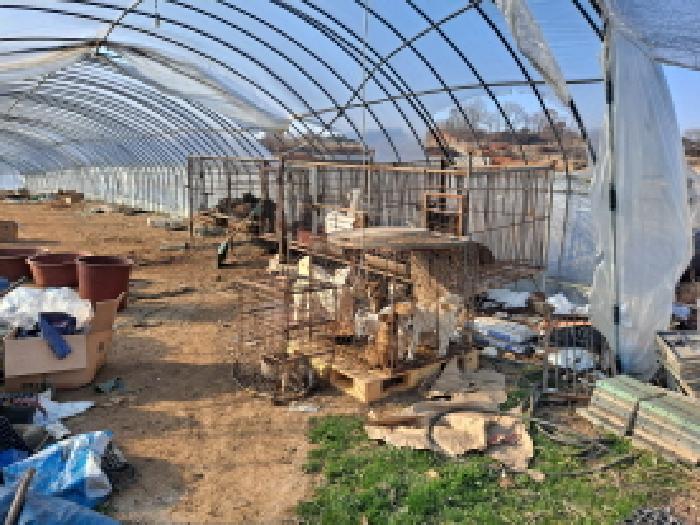 충남 당진시 송악읍 전 경매 물건 사진 3 · 2025타경550