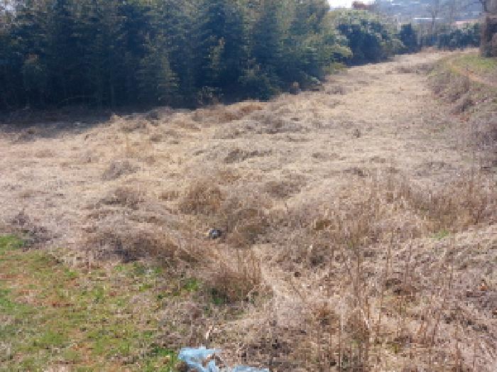 충남 당진시 고대면 대지,임야,전답 경매 물건 사진