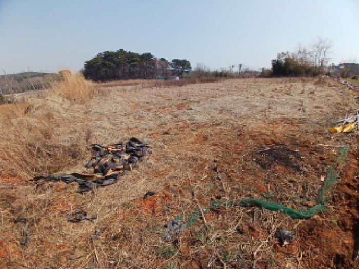 충남 당진시 고대면 대지,임야,전답 경매 물건 사진 4 · 2025타경552
