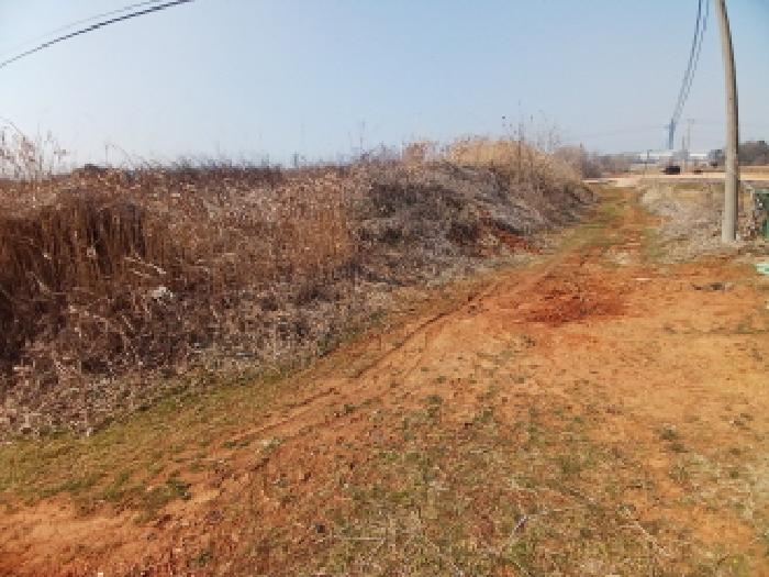 충남 당진시 고대면 대지,임야,전답 경매 물건 사진 5 · 2025타경552