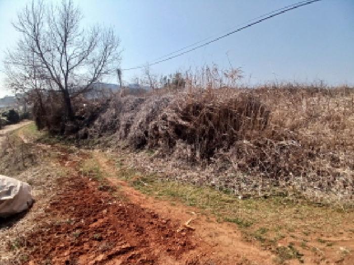 충남 당진시 고대면 대지,임야,전답 경매 물건 사진 6 · 2025타경552