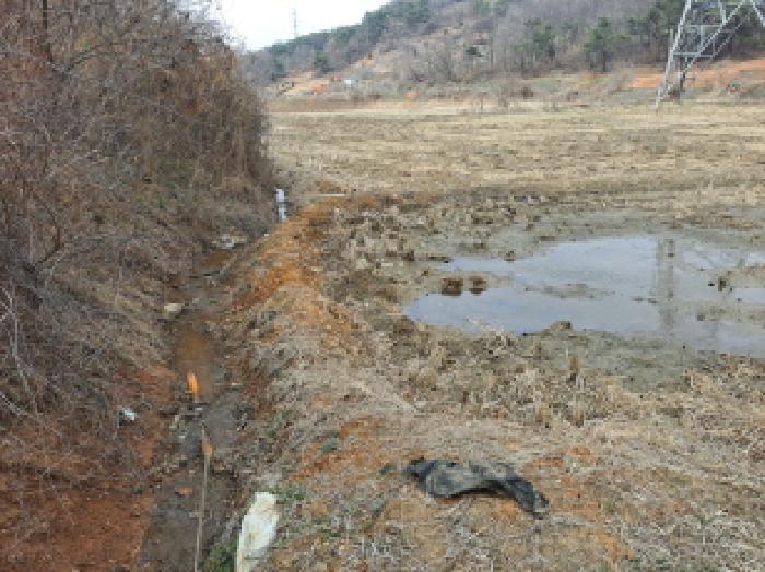 충남 당진시 송악읍 답 경매 물건 사진