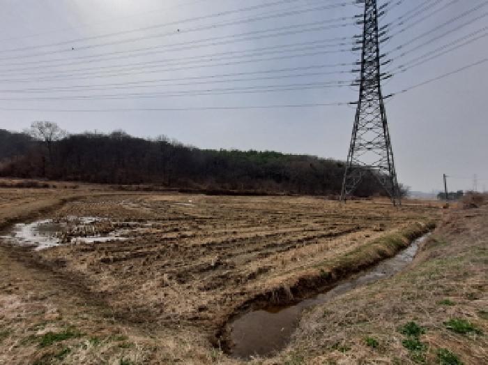 충남 당진시 송악읍 답 경매 물건 사진 2 · 2025타경554