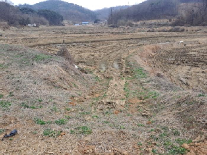 충남 당진시 송악읍 답 경매 물건 사진 3 · 2025타경554