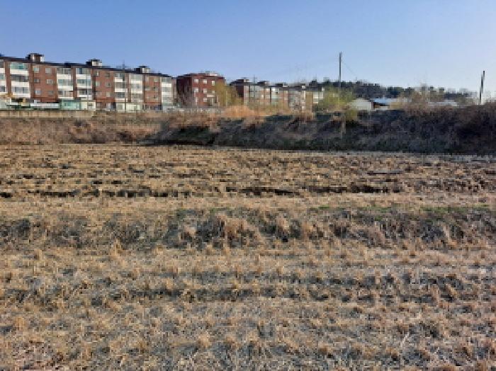 충남 당진시 신평면 답 경매 물건 사진 3 · 2025타경569