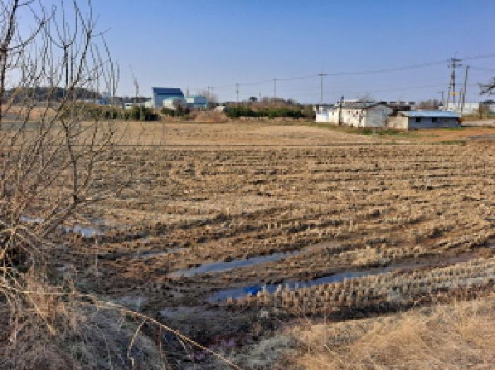 충남 당진시 신평면 답 경매 물건 사진 5 · 2025타경569