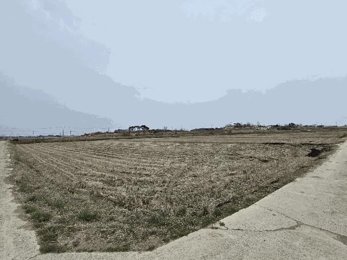 충남 당진시 신평면 답 경매 물건 사진 4 · 2025타경569