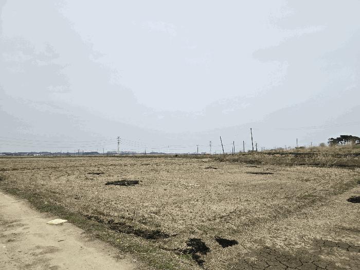 충남 당진시 신평면 답 경매 물건 사진