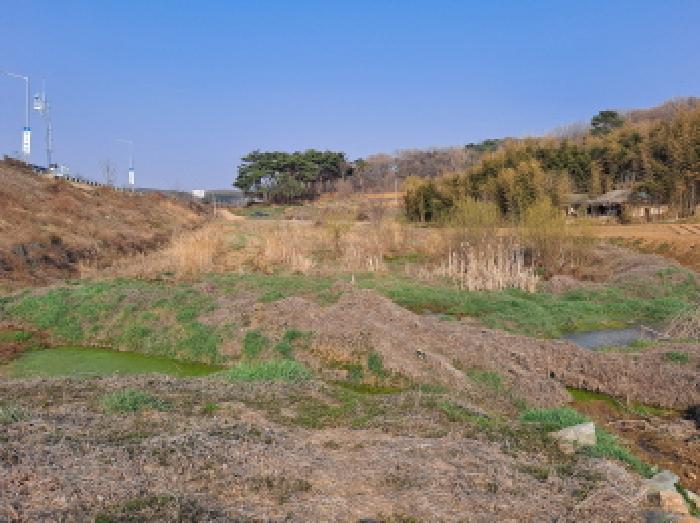 충남 당진시 송악읍 대지,임야,전답 경매 물건 사진 2 · 2025타경578